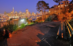 San Francisco skyline viewed from Ina Coolbrith Park