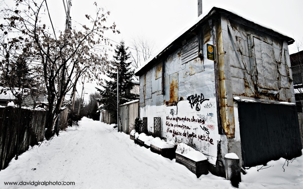 Allée enneigée du Plateau Mont-Royal, Montréal, Québec, Canada par David Giral