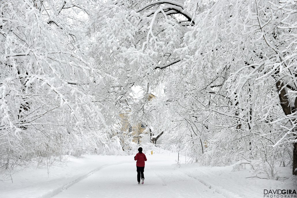 Exploring Montreal: Winter Wonderland at Mont Royal Park