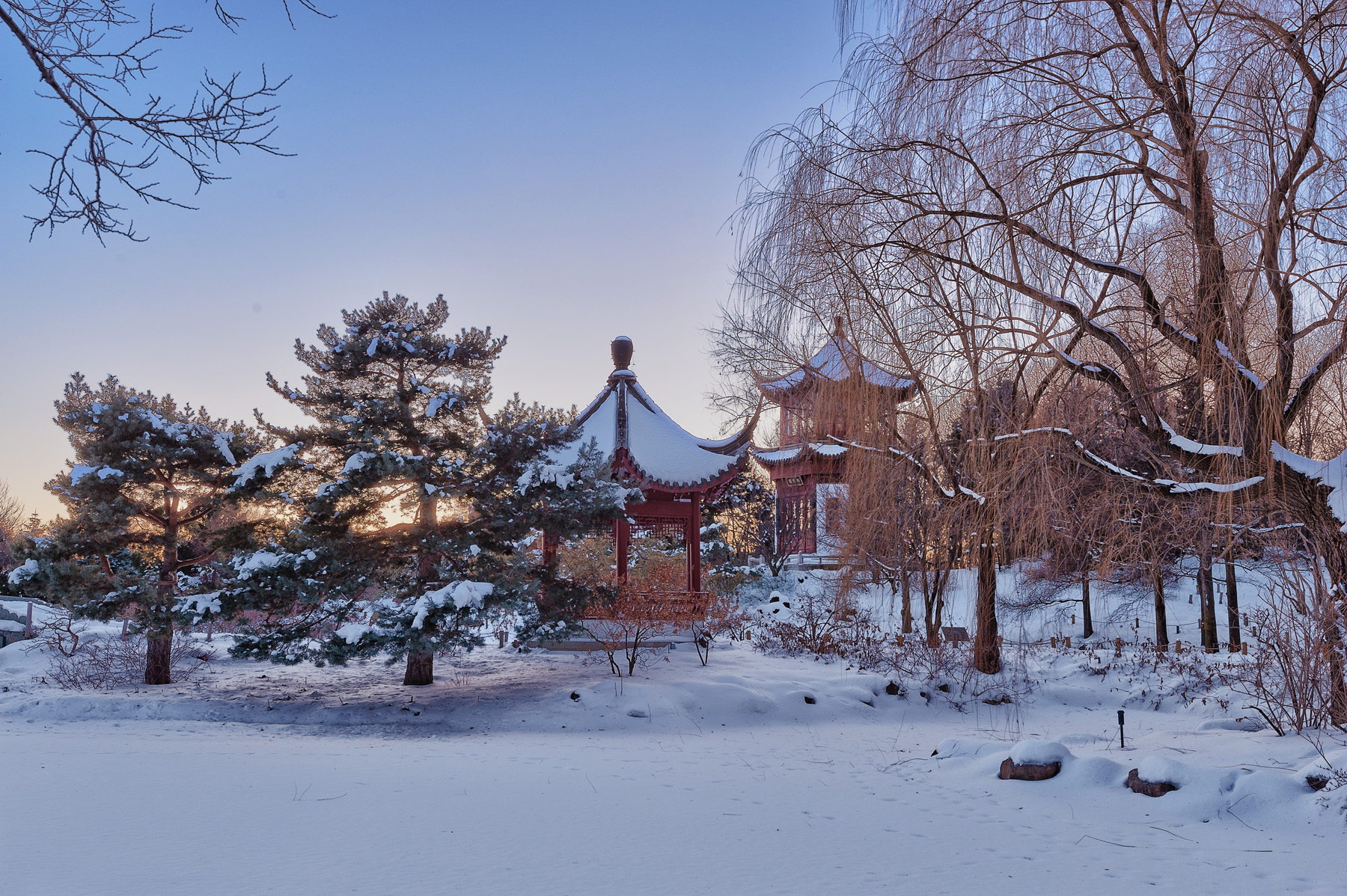 editorial-travel-montreal-botanical-garden-snow-winter-dusk-005