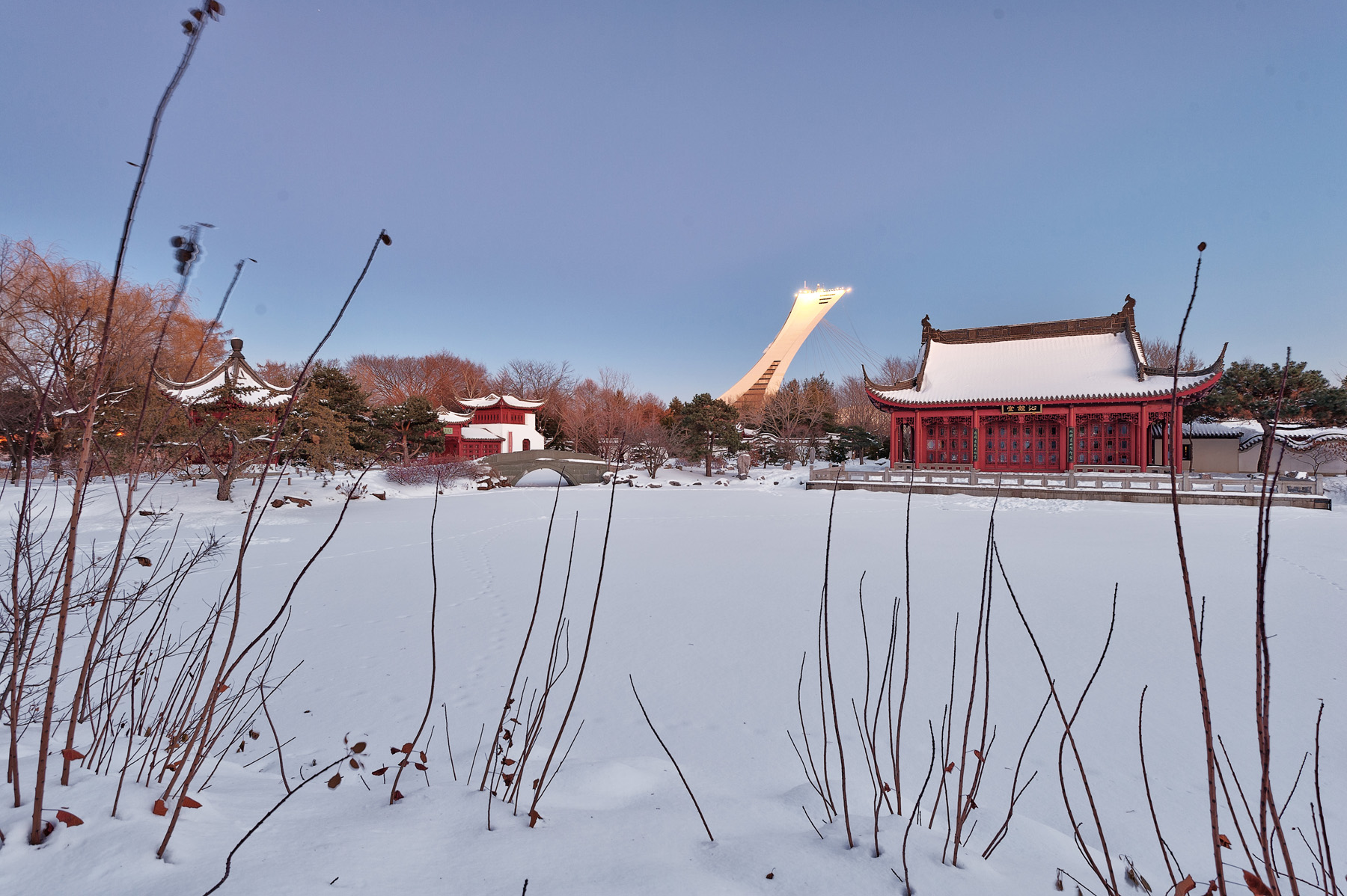 editorial-travel-montreal-botanical-garden-snow-winter-dusk-009