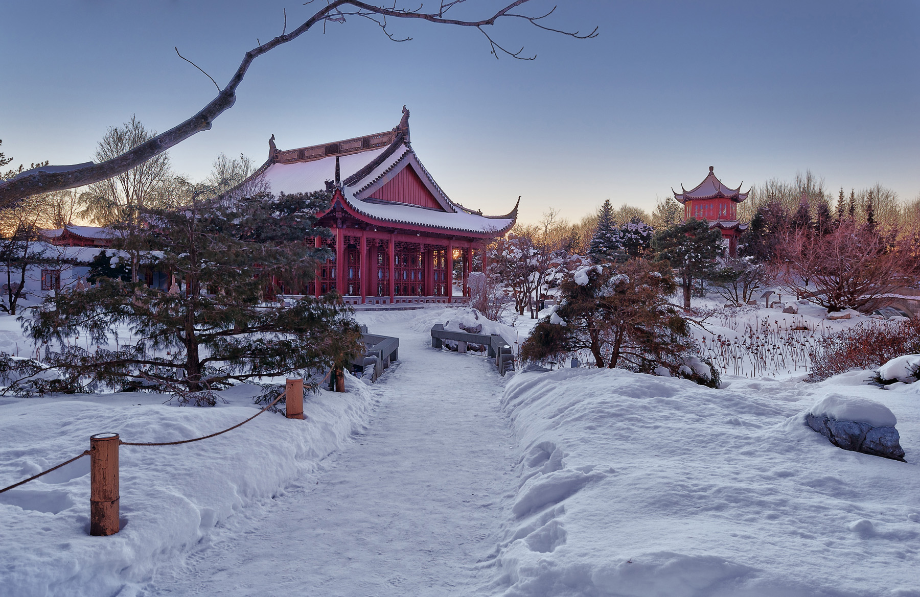 editorial-travel-montreal-botanical-garden-snow-winter-dusk-013